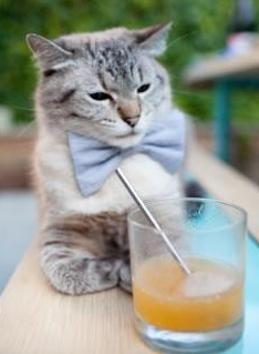 史上最激烈的季后赛“高光瞬间”，你都看过几场？，季后赛经典比赛