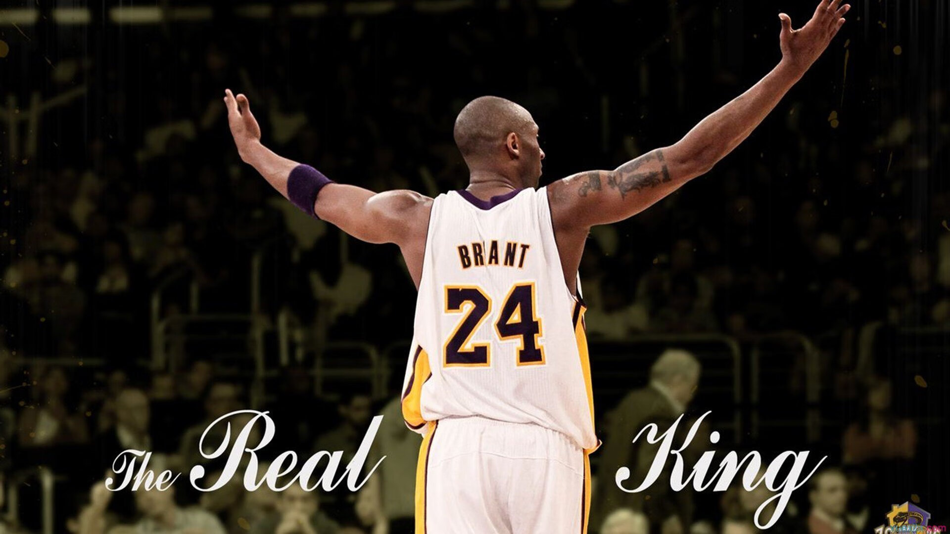 kaiyun网站-年轻选手表现抢眼，未来可期，年轻有潜力的球员